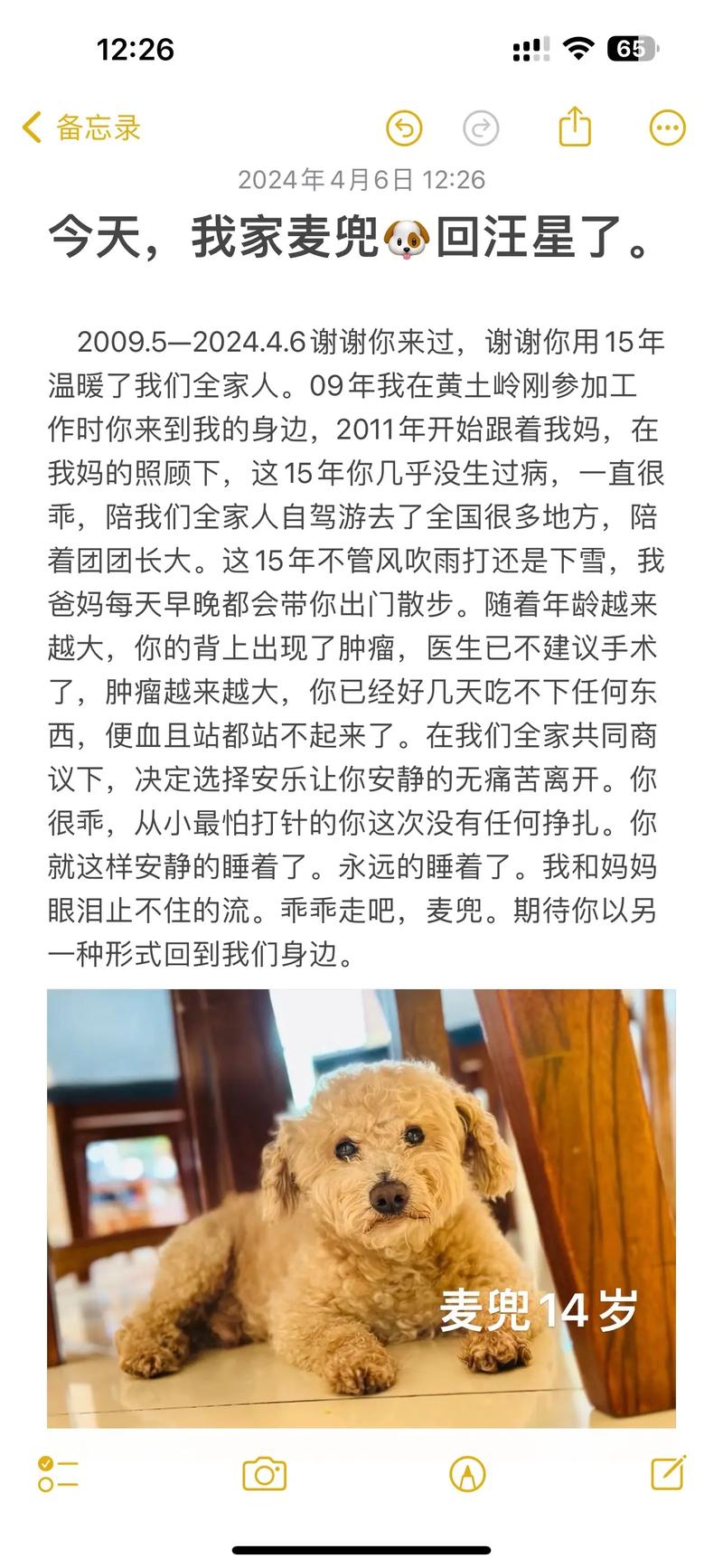 今日科普一下！麦兜我和我妈妈,百科词条爱好_2024最新更新