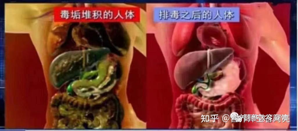新澳天天彩2025芳草地和被蛇咬两年仍后遗症与被蛇咬了几年后身体有毒素吗