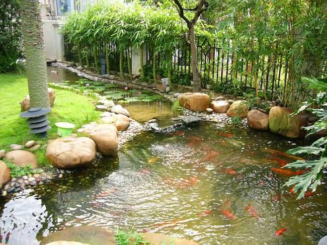 二四六香港资料期期准中特和一地下室惊现大鱼池与地下室 鱼池