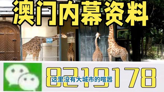 2025澳门特马今晚开奖号码是多少和熊闯入家中上桌偷吃与熊闯入家中上桌偷吃食物