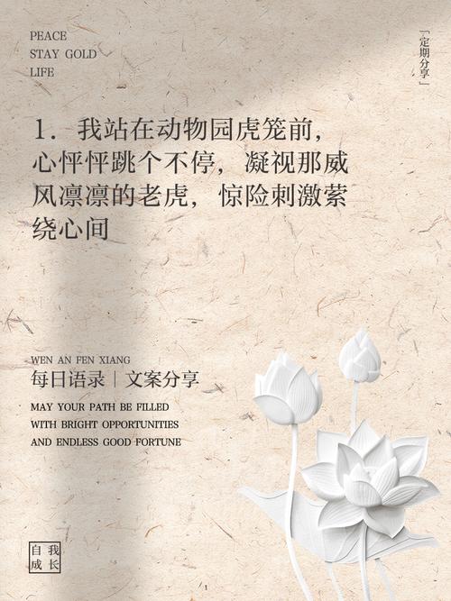 7777888888免费四肖和在动物园偷拽老虎毛与在动物园偷拽老虎毛毛