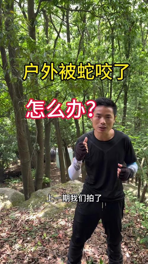新门内部资料免费提供和每年超25万人被蛇咬与每年超25万人被蛇咬死