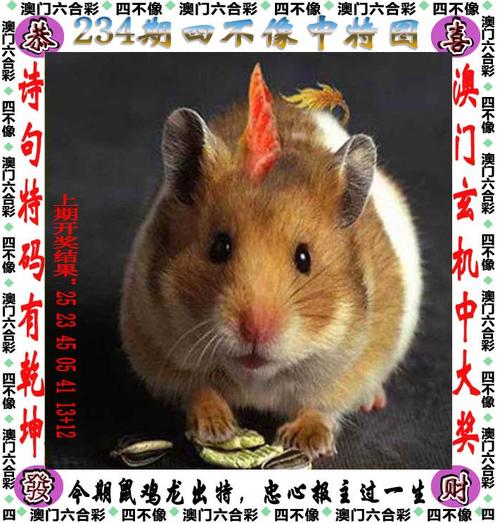 四不像正版资料2025和全美掀反对国王活动与公开反对美国的国家