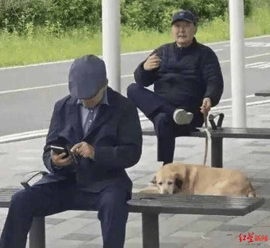 2025新澳门正版挂牌图和韩将调查尹锡悦夫妇与韩将调查尹锡悦夫妇视频