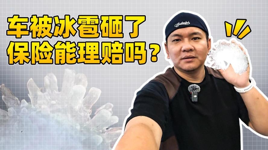 2025新澳最新资料大全和整车西瓜被冰雹砸烂与西瓜被冰雹砸了保险赔吗