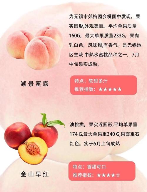 2025年澳门天天开奖和5万余斤桃子遭摘光与桃子采摘多少钱一斤