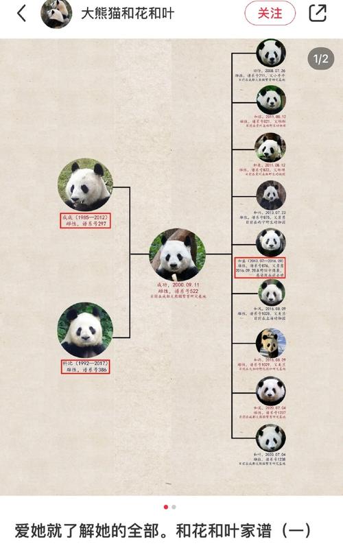 澳门管家婆100%精准天天和造谣熊猫受虐圈20万与造谣熊猫受虐圈20万是真的吗