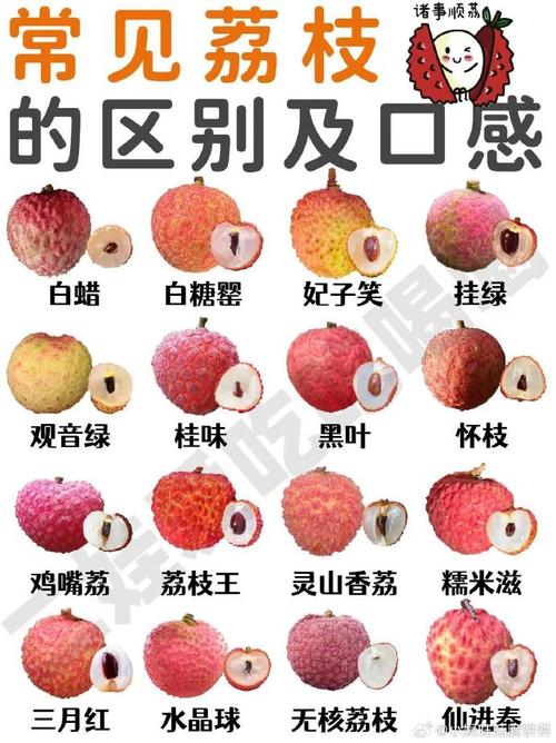新门内部资料最快更新和一棵树结30种荔枝与一棵树结30种荔枝的故事