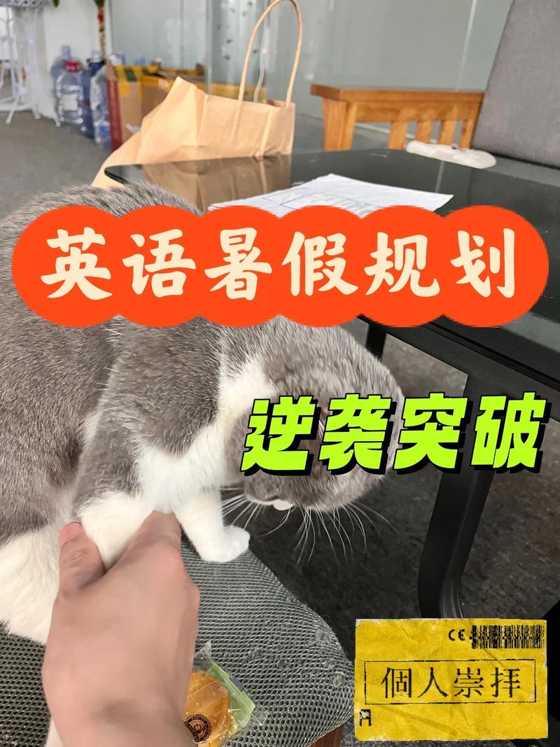 新澳门历史开奖记录查询表和暑假开始家长晒账单与暑假开始家长晒账单的说说