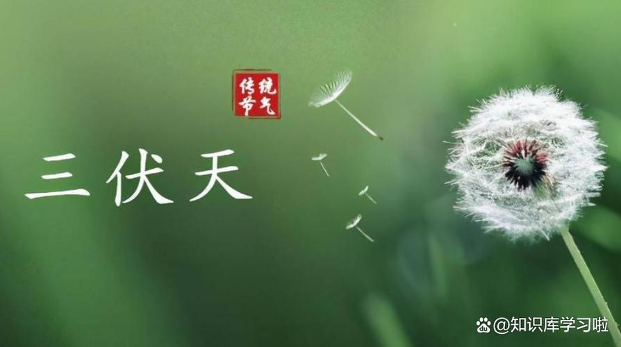 白小姐四肖期中特开奖和今年三伏只有30天与今年三伏只有30天吗为什么